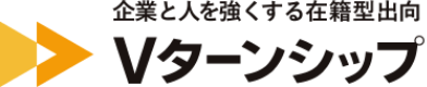 Vターンシップ